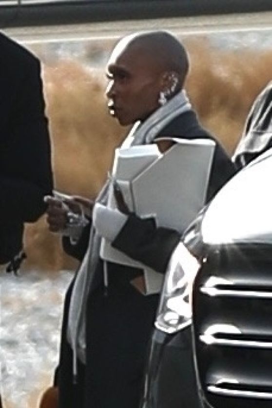 Ariana Grande and Cynthia Erivo Take a Quick Jet to LA 04.01.2025
