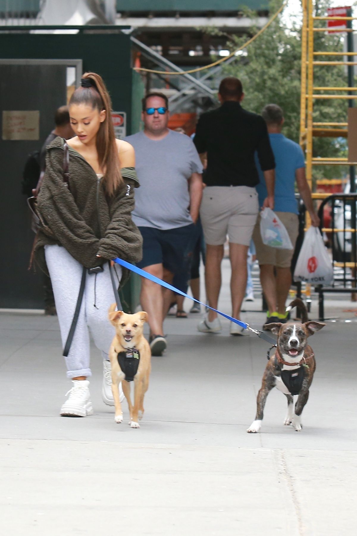 Walking her Dogs in New York 09/22/2018